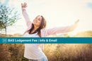 BAS Lodgement Fee | Information Guide & Email Template